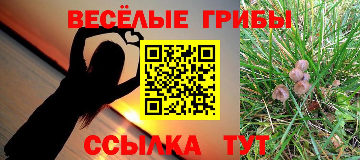 Димитровград  Галлюциногенные грибы мицелий  Вход с VPN 