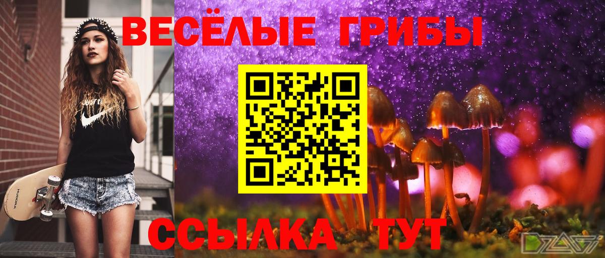 Псилоцибиновые грибы Psilocybine cubensis Димитровград